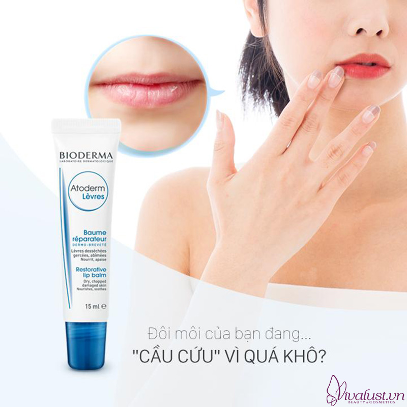 Sáp dưỡng ẩm dành cho môi khô, nứt nẻ BIODERMA Atoderm Lèvres Baume Reparateur 15ml Sap-duong-am-danh-cho-moi-kho-nut-ne-BIODERMA-AtodermBaume-Levres-15ml-Vivalust.vn-.jpg